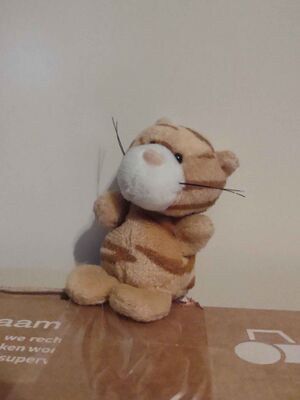 Tibby Official Portrait 2025.jpg