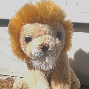 Shadid of Sorbonne on 7 May 2026 Square.jpg