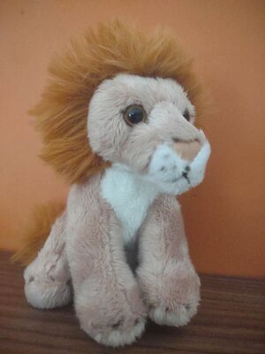 Safez of Roarborne Official Portrait 2025.jpg