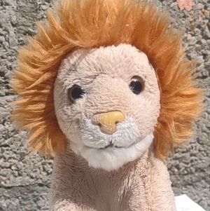 Scar of Roarborne on 7 May 2026 Square.jpg