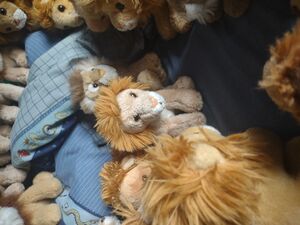Safez of Roarborne on 3 May 2026.jpg