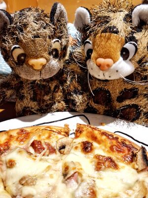 Junior Purr & Juniorientje Purr.jpg