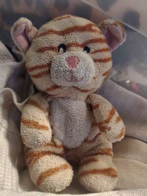 Tijgerinnetje Official Portrait 2025.jpg