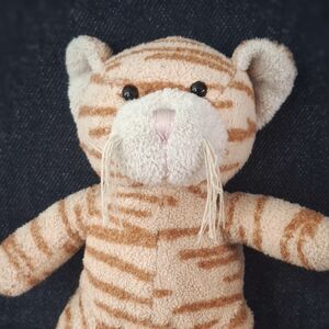 Tigrish Official Portrait 2026 Square.jpg