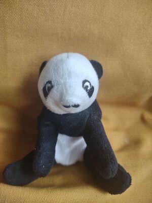 Bamboo Official Portrait 2025.jpg