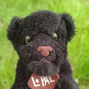 Maegor on 10 May 2026 Square.jpg