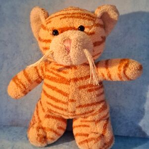 Tigrish of Tigerium Official Portrait 2025 Square.jpg