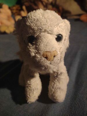 Siberius I Official Portrait 2025.jpg