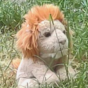 Scer of Roarborne on 7 May 2026 Square.jpg