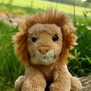 Sifad of Roarborne on 10 May 2026 Square.jpg