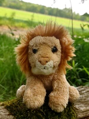 Sifad of Roarborne on 10 May 2026