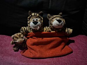 Bebe, Tigris and Caramella on 12 April 2026