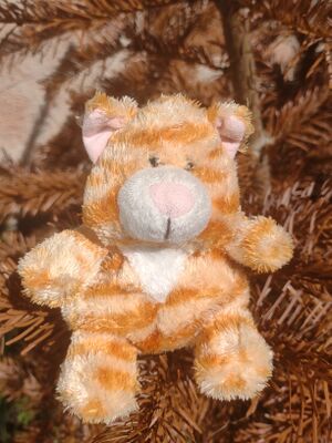 Garfield on 7 May 2026