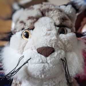 Spot Official Portrait 2026 Square.jpg