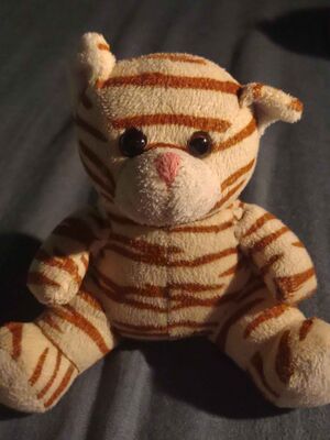 Agnus Official Portrait 2025.jpg