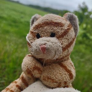 Tiggy on 6 May 2026 Square.jpg