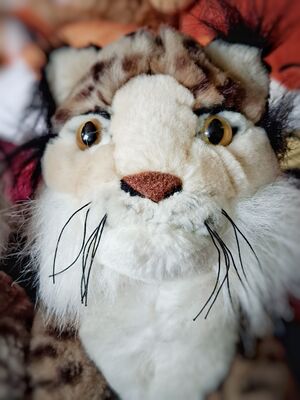 Spottelina Official Portrait 2026.jpg