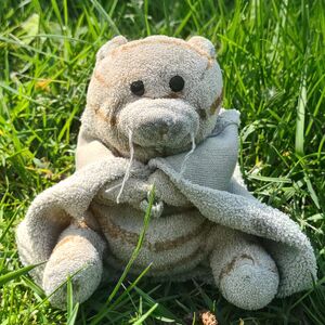 Tijgertje on 1 May 2026 Square.jpg