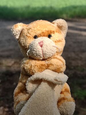 Terrence on 10 May 2026