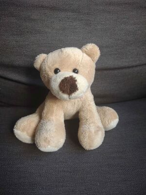 Beertje Beek Official Portrait 2025.jpg