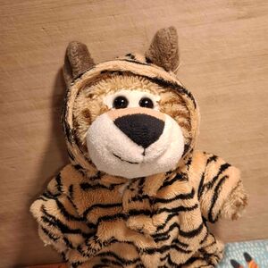 Caramella Crave Official Portrait 2026 Square.jpg