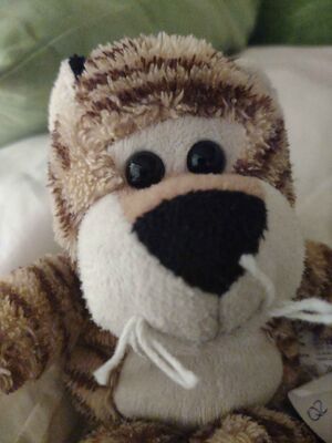Tigris Crave's vlog on 12 August 2025 v2.jpg