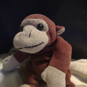 Aapje Official Portrait 2025 Square.jpg