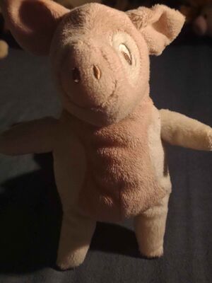 Pigvel Official Portrait 2025.jpg