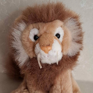 Amin Zambada Official Portrait 2026 Square.png