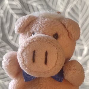 Piggy of Pigget on 24 May 2026 Square.jpg