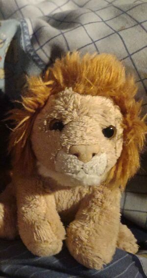 Scer of Roarborne Official Portrait 2025.jpg