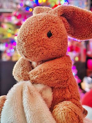 Konijntje of Harrow Official Portrait 2026.jpg