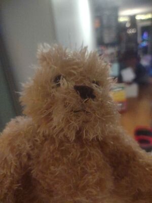 Wilbur Official Portrait 2025.jpg