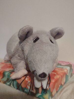 Mama Rat Official Portrait 2025.jpg