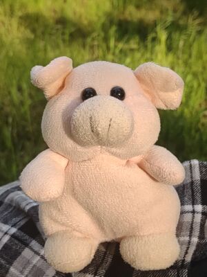 Benjamin on 10 May 2026