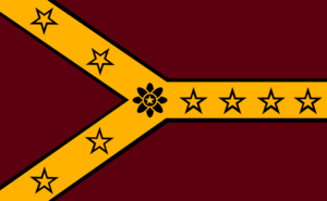 Matamoros Cartel Flag.png