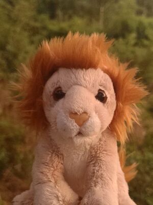 Sarsel of Roarborne on 30 May 2026
