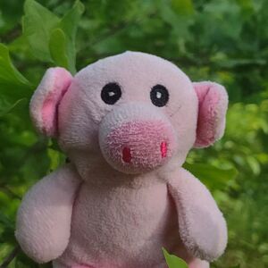 Snuffeltje of Hambon on 10 May 2026 Square.jpg