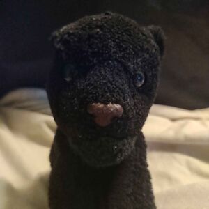 Tijgeron of Pantharyen Official Portrait 2025 Square.jpg