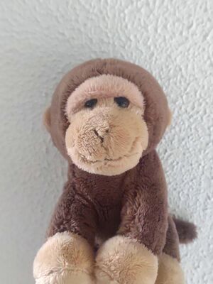 Kong