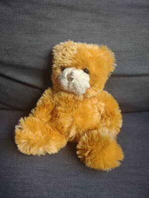 Beertje Arce Official Portrait 2025.jpg