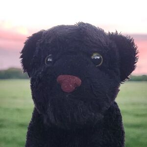 Barron on 18 May 2026 Square.jpg