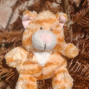 Garfield on 7 May 2026 Square.jpg