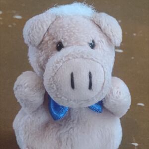 Piggy of Pigget on 6 May 2026 Square.jpg