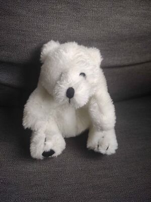 Putibeer Official Portrait 2025.jpg