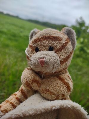 Tiggy on 6 May 2026
