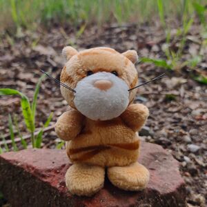 Tibby on 6 May 2026 Square.jpg