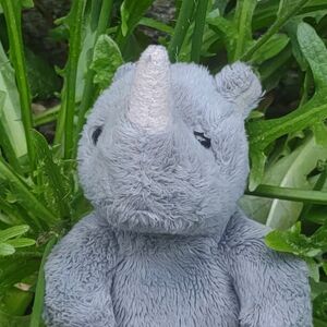 Rhino on 8 May 2026 Square.jpg