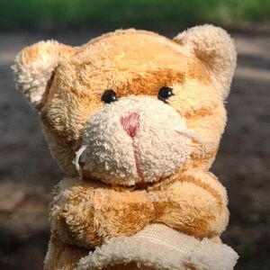 Terrence on 10 May 2026 Square.jpg