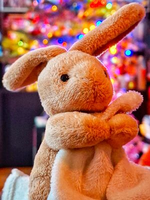 Bunny of Harrow Official Portrait 2026.jpg